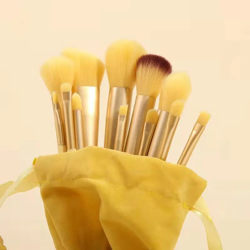 Soft Fluffy Makeup Brushes Set